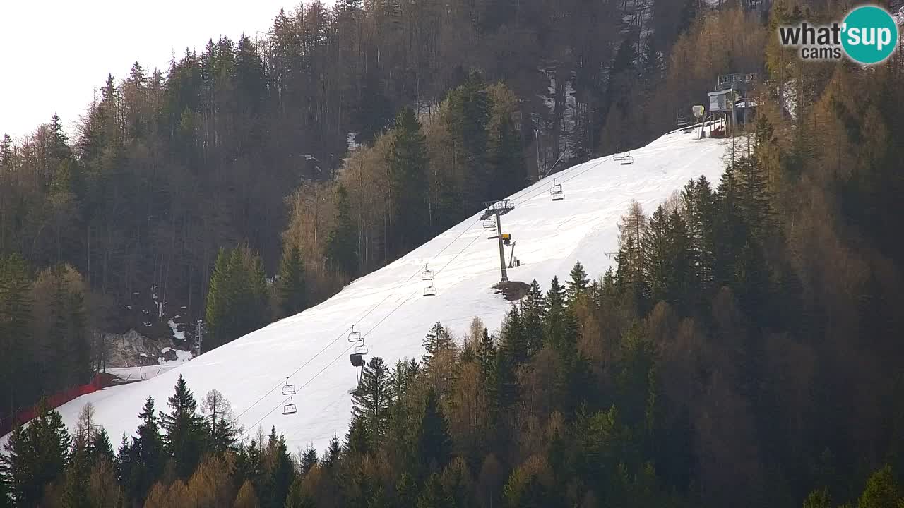 Skigebiet Kranjska Gora | Velika Dolina