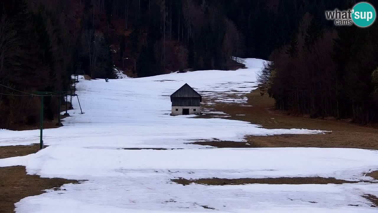 Ski Kranjska Gora | Velika Dolina