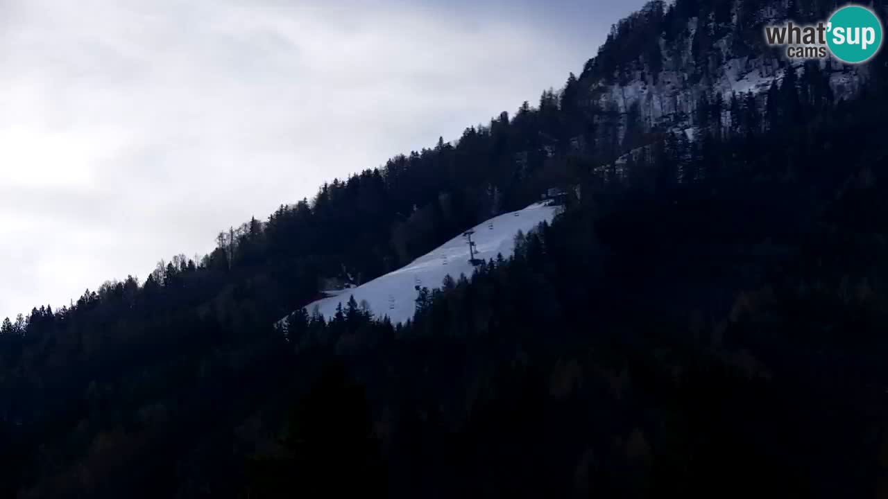 Ski Kranjska Gora | Velika Dolina