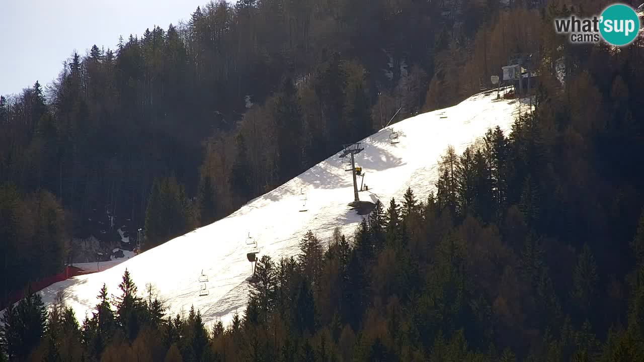 Kranjska Gora | Velika Dolina