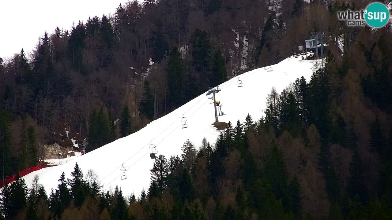 Station de ski Kranjska Gora | Velika Dolina