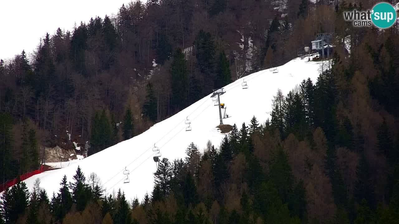 Station de ski Kranjska Gora | Velika Dolina