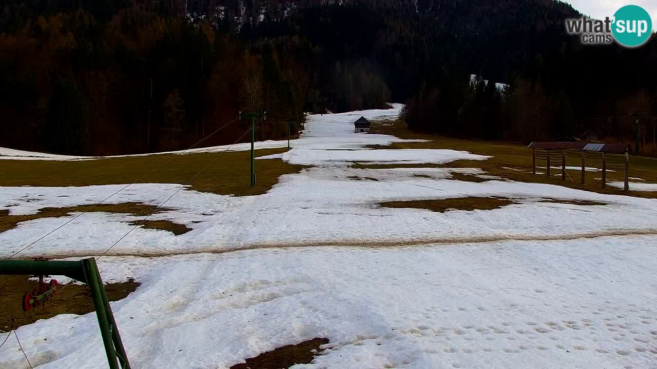 Skigebiet Kranjska Gora | Velika Dolina