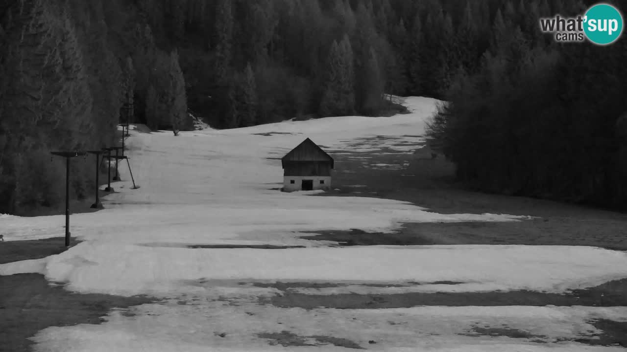 Estación de esquí Kranjska Gora | Velika Dolina