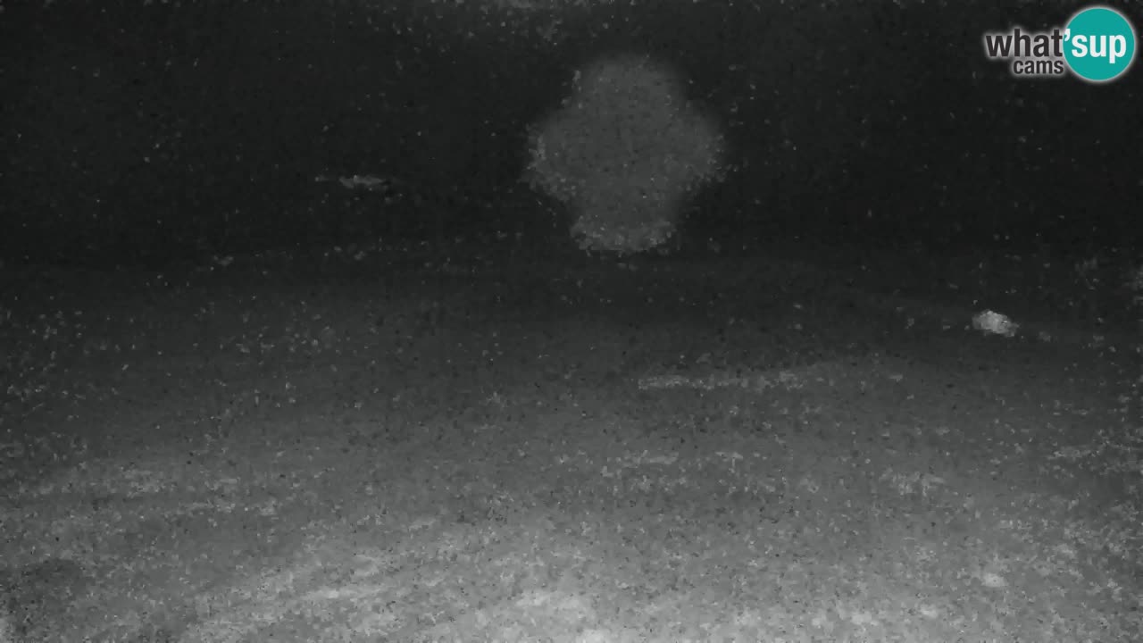 Kranjska Gora | Velika Dolina