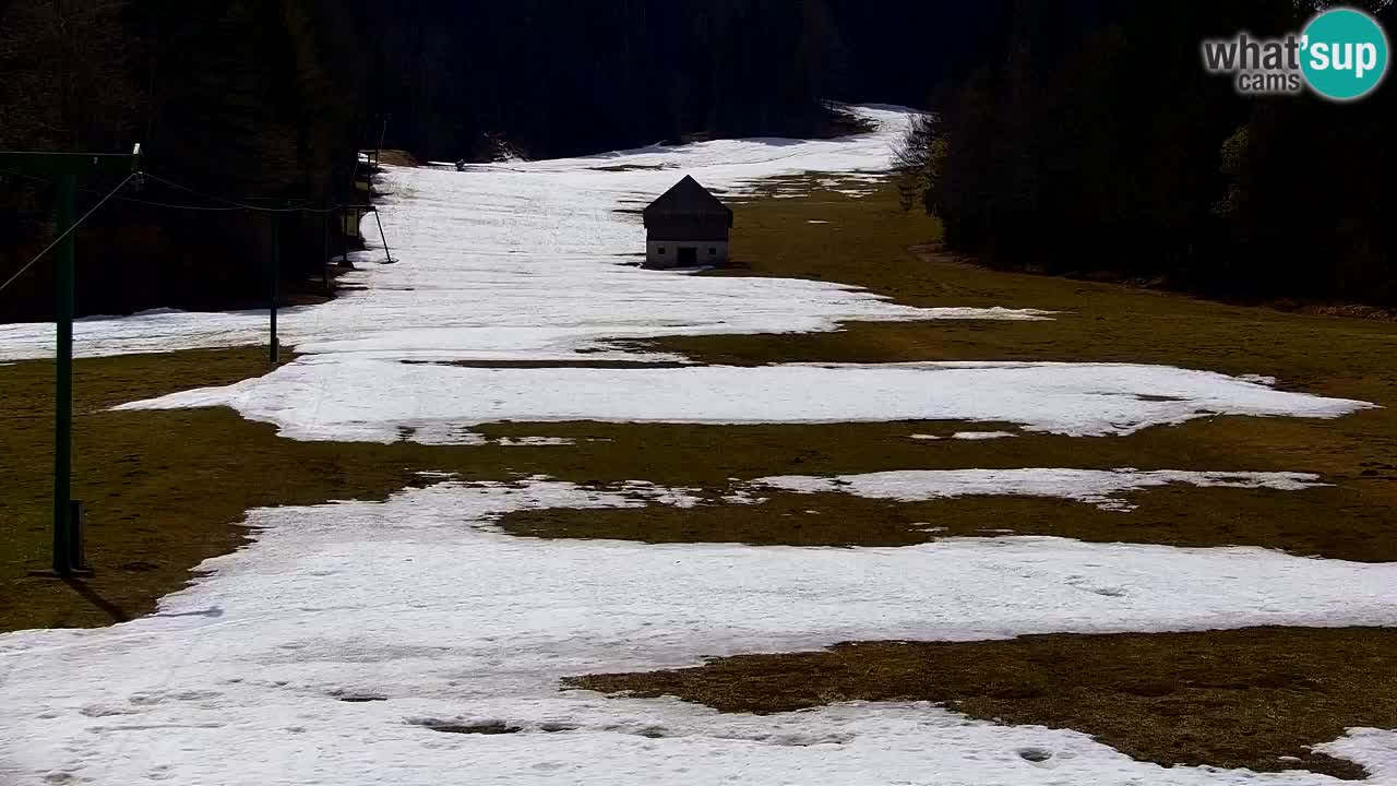 Ski Kranjska Gora | Velika Dolina