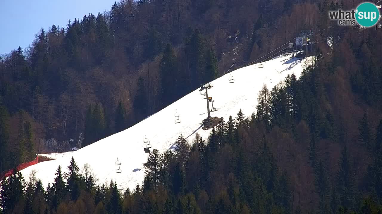 RTC Kranjska Gora | Velika Dolina