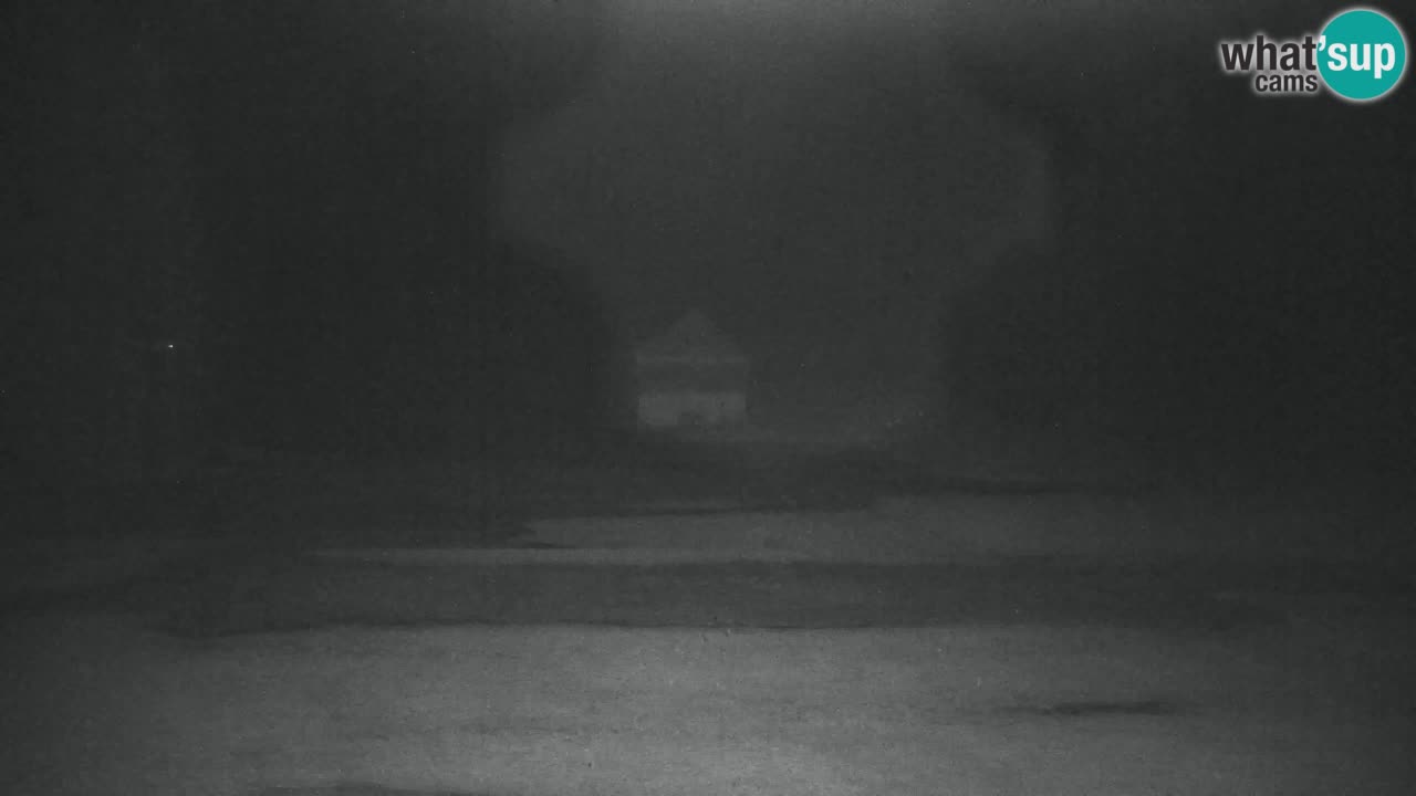 Ski Kranjska Gora | Velika Dolina