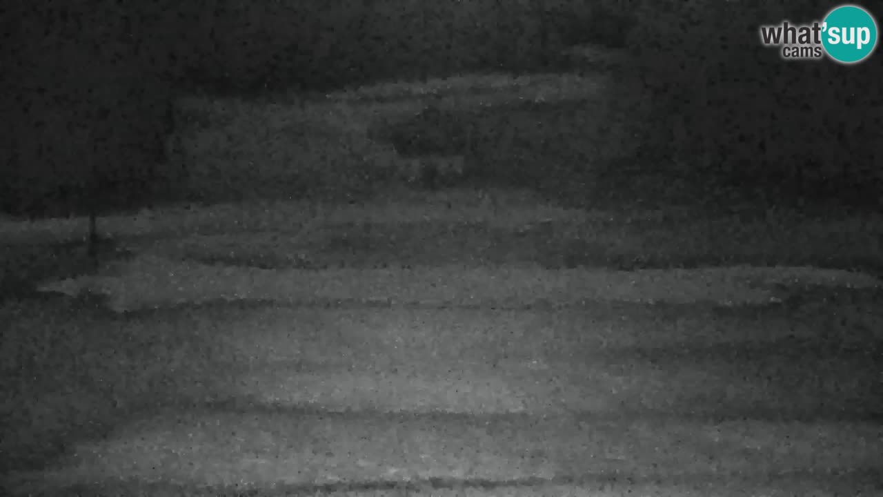 Ski Kranjska Gora | Velika Dolina