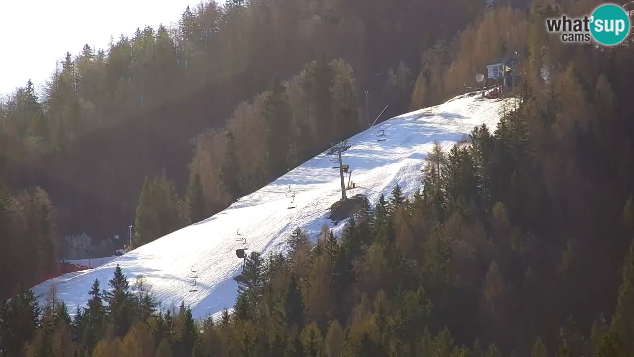 Ski Kranjska Gora | Velika Dolina