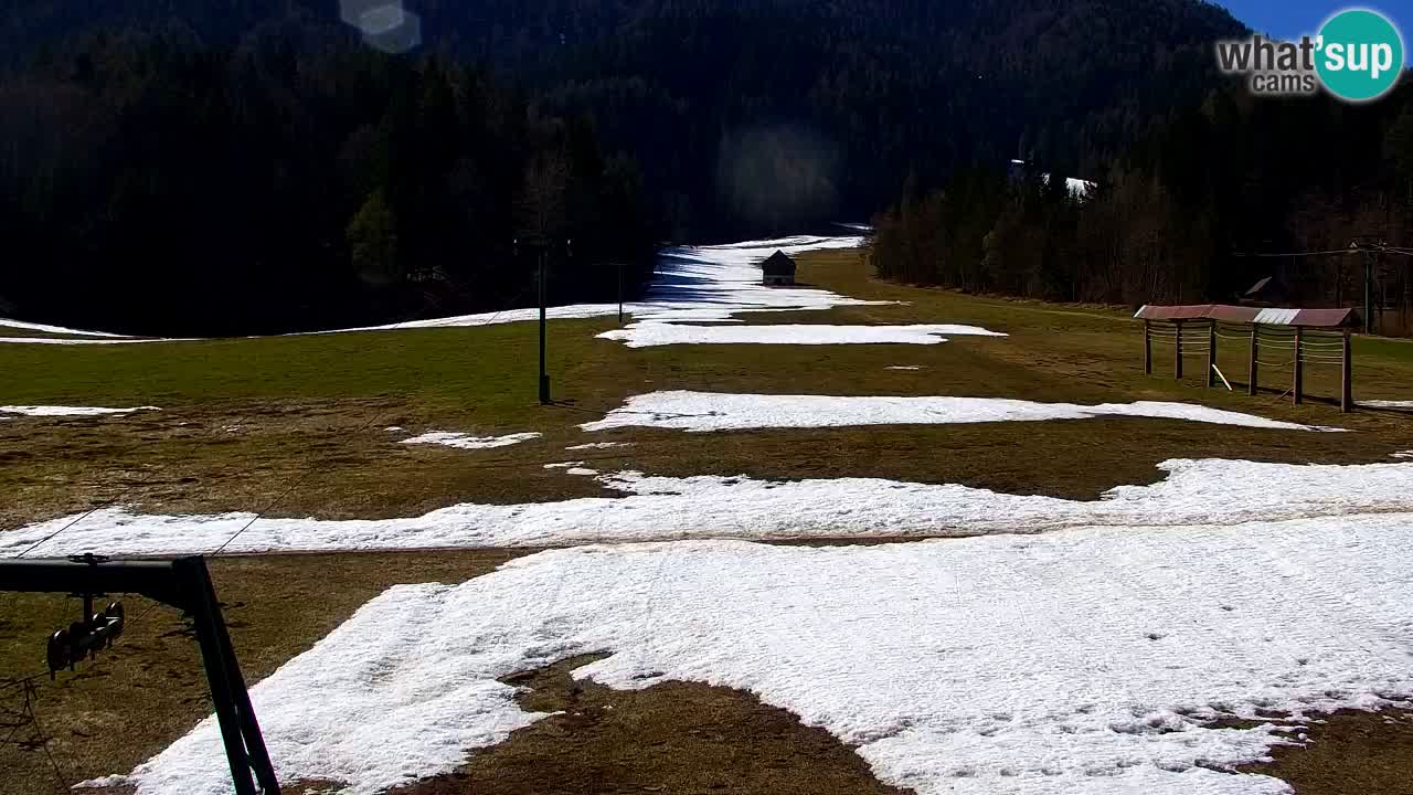 Ski Kranjska Gora | Velika Dolina