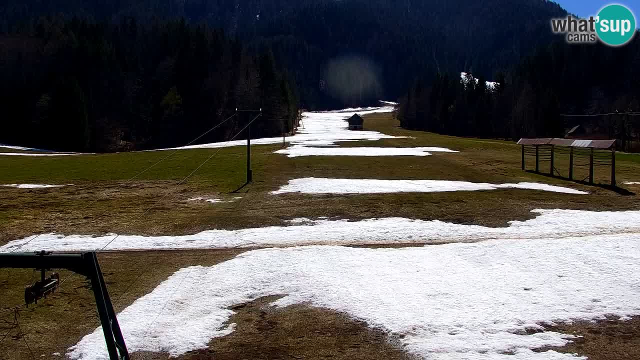 Skigebiet Kranjska Gora | Velika Dolina