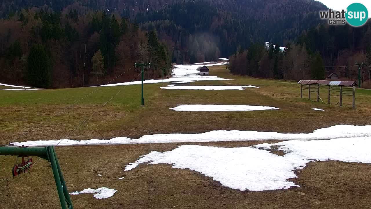 Ski Kranjska Gora | Velika Dolina
