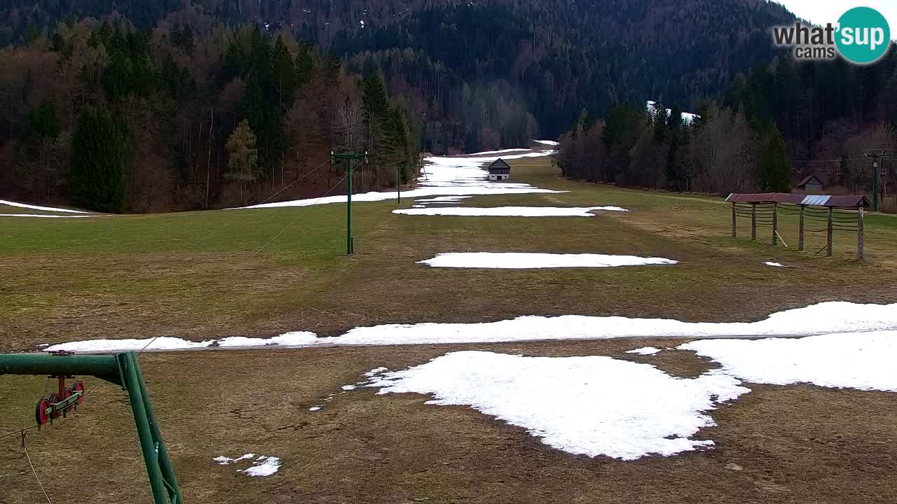 Ski Kranjska Gora | Velika Dolina