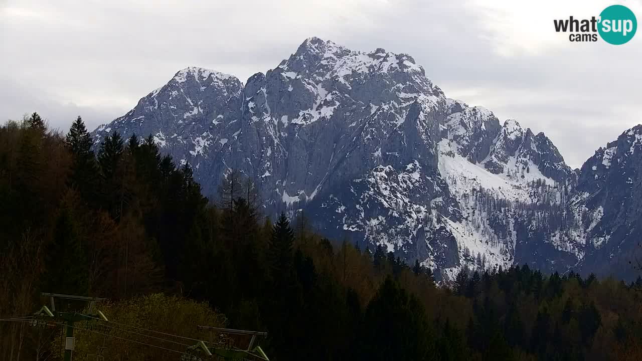 Ski Kranjska Gora | Velika Dolina