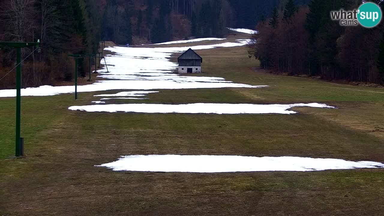 Ski Kranjska Gora | Velika Dolina