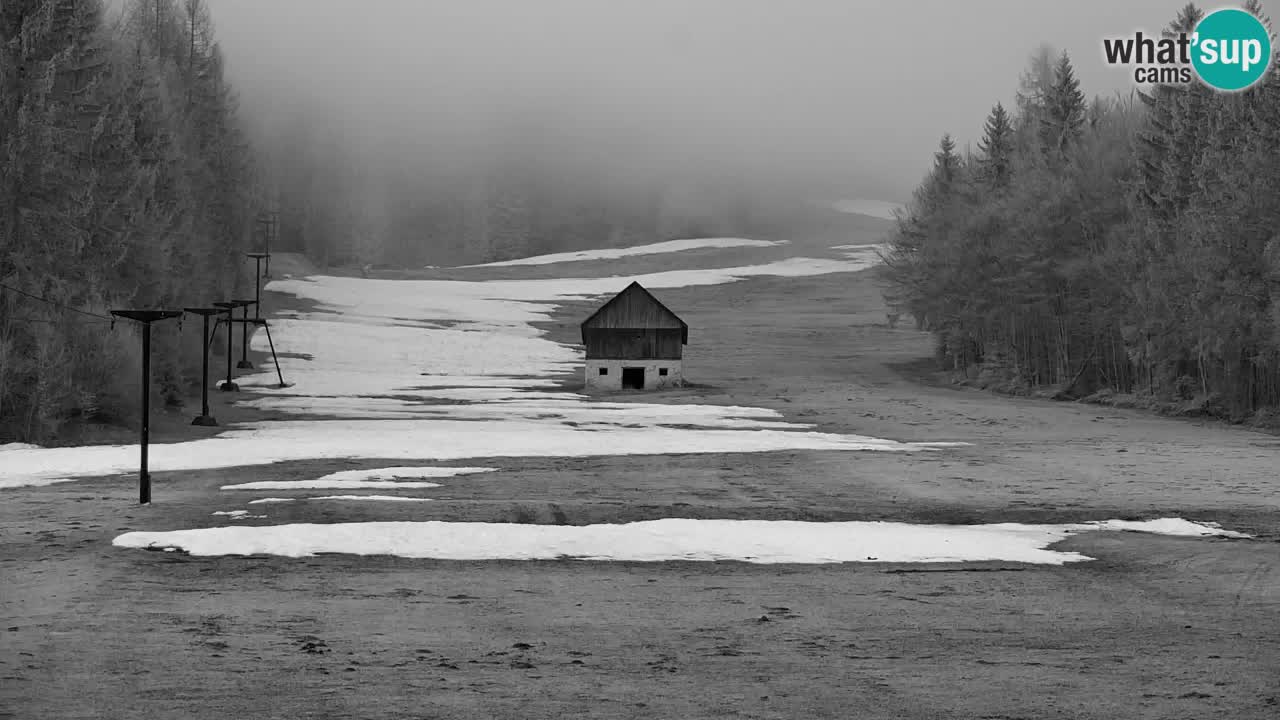 RTC Kranjska Gora | Velika Dolina