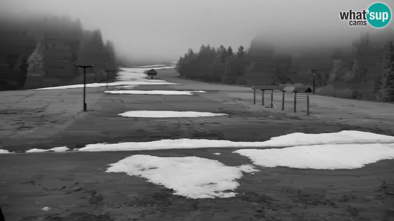 Skijanje Kranjska Gora | Velika Dolina