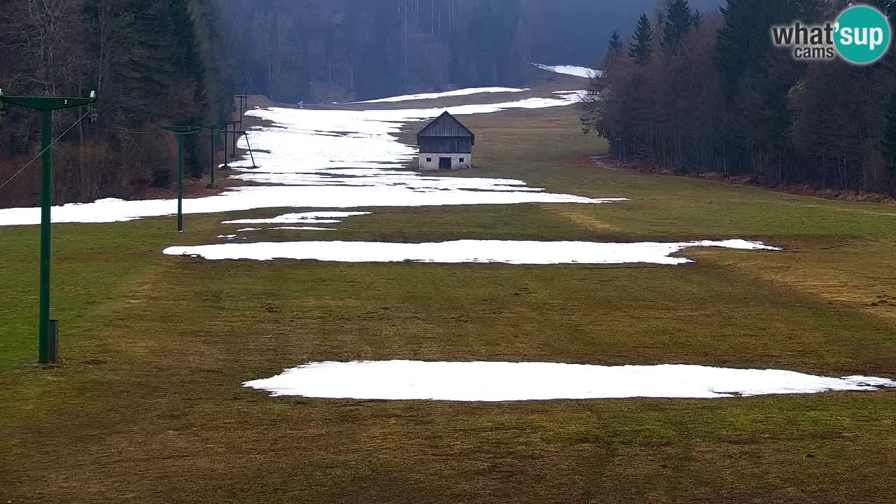 Skigebiet Kranjska Gora | Velika Dolina