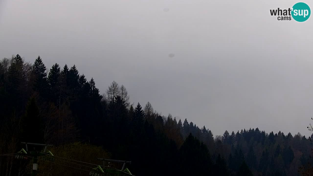 Ski Kranjska Gora | Velika Dolina