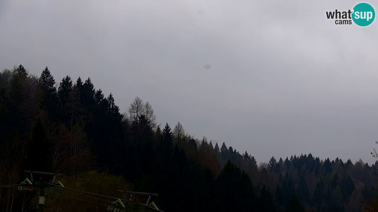 Estación de esquí Kranjska Gora | Velika Dolina