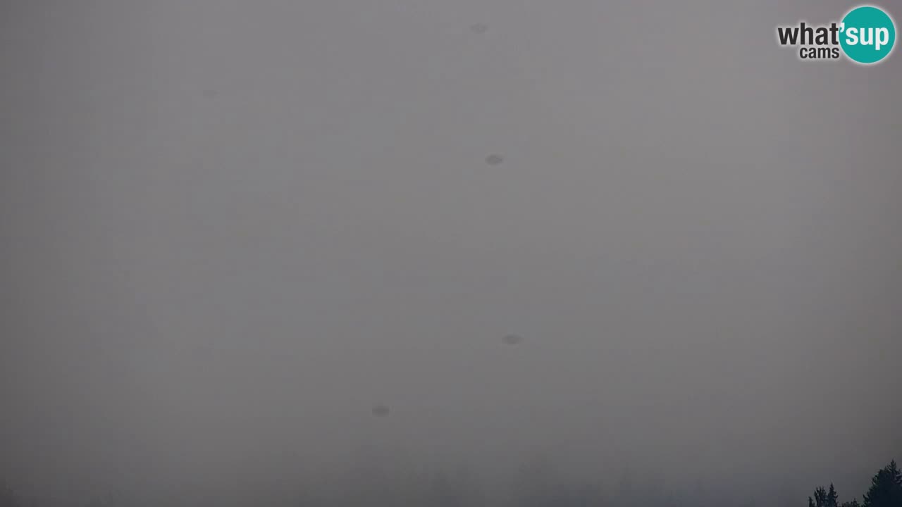 RTC Kranjska Gora | Velika Dolina