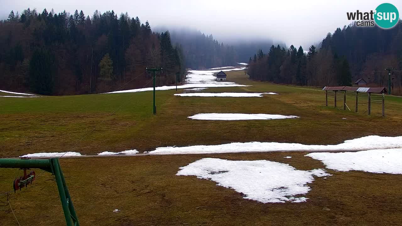 Skijanje Kranjska Gora | Velika Dolina