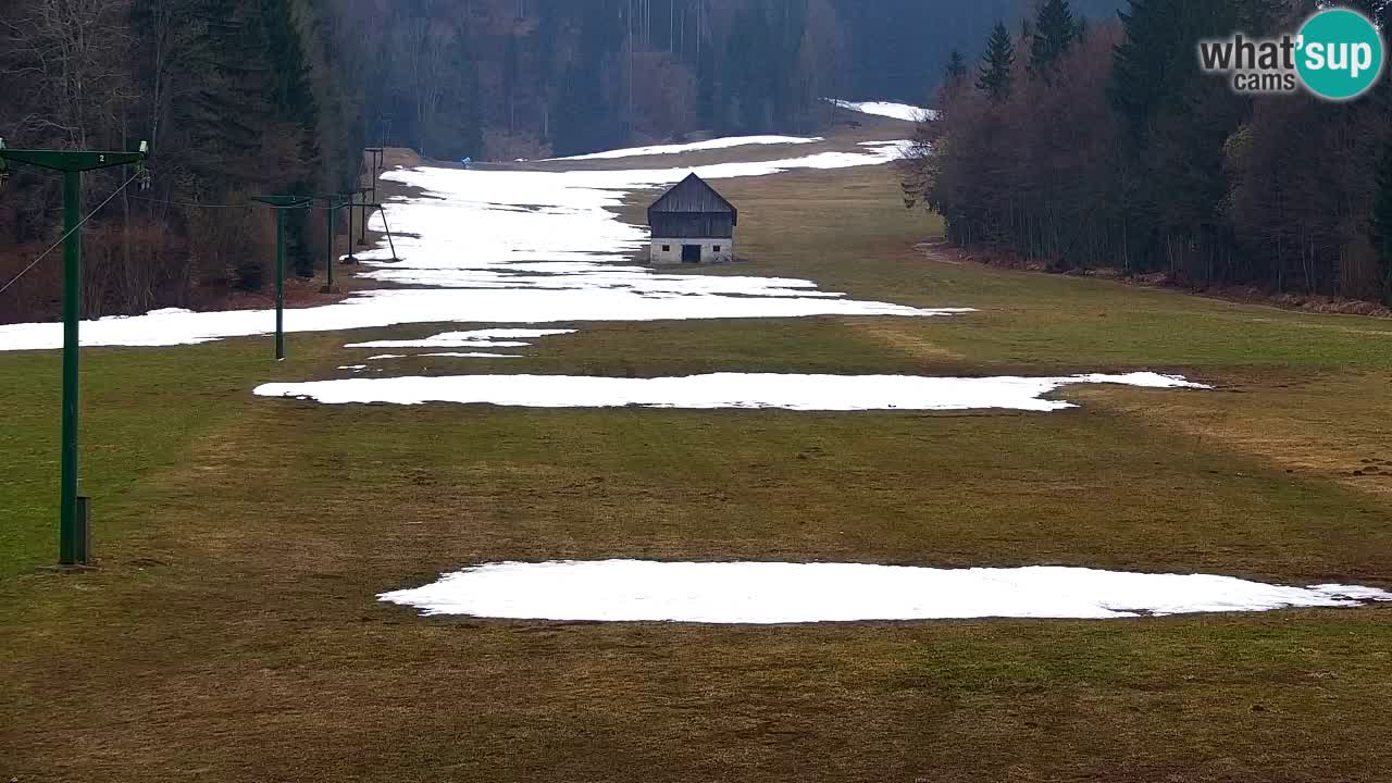 Skigebiet Kranjska Gora | Velika Dolina