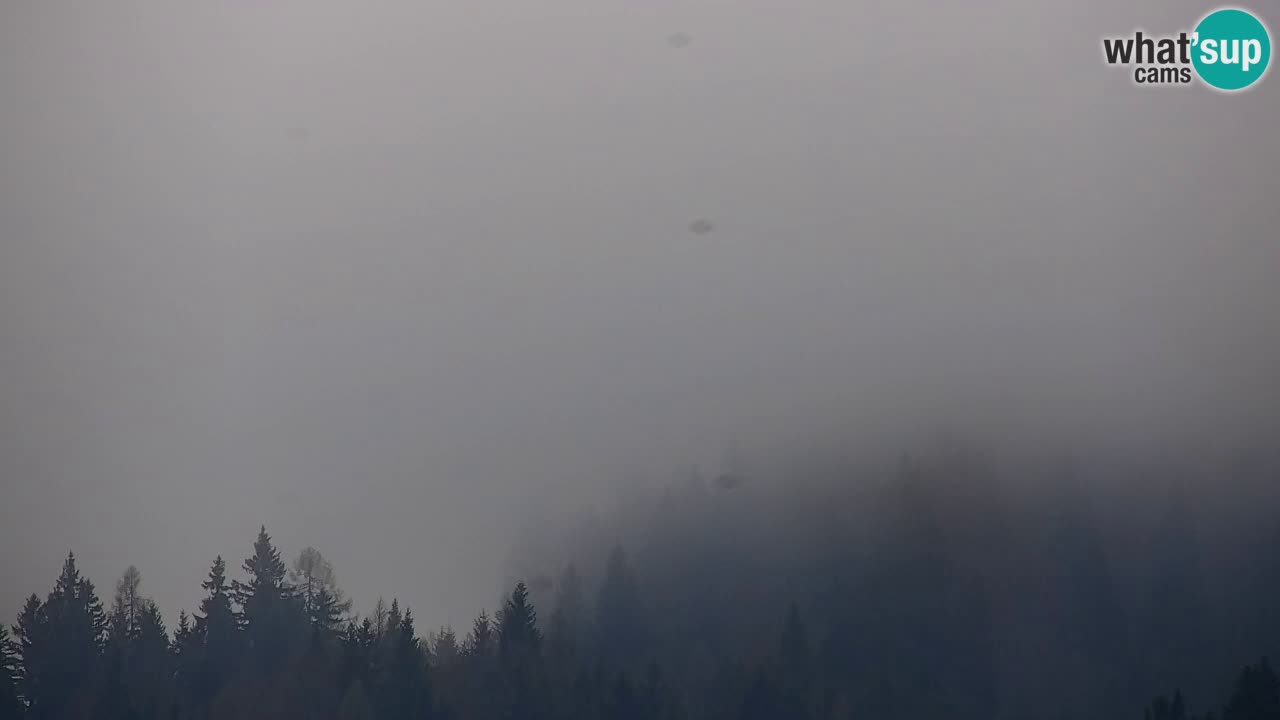 Station de ski Kranjska Gora | Velika Dolina