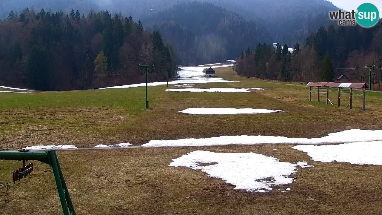 Skigebiet Kranjska Gora | Velika Dolina