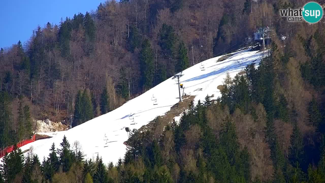 Skigebiet Kranjska Gora | Velika Dolina
