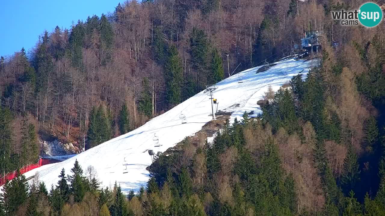Skigebiet Kranjska Gora | Velika Dolina