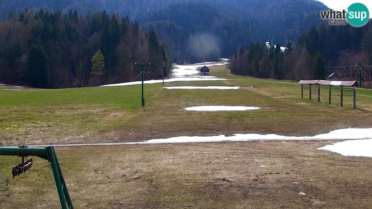 Ski Kranjska Gora | Velika Dolina