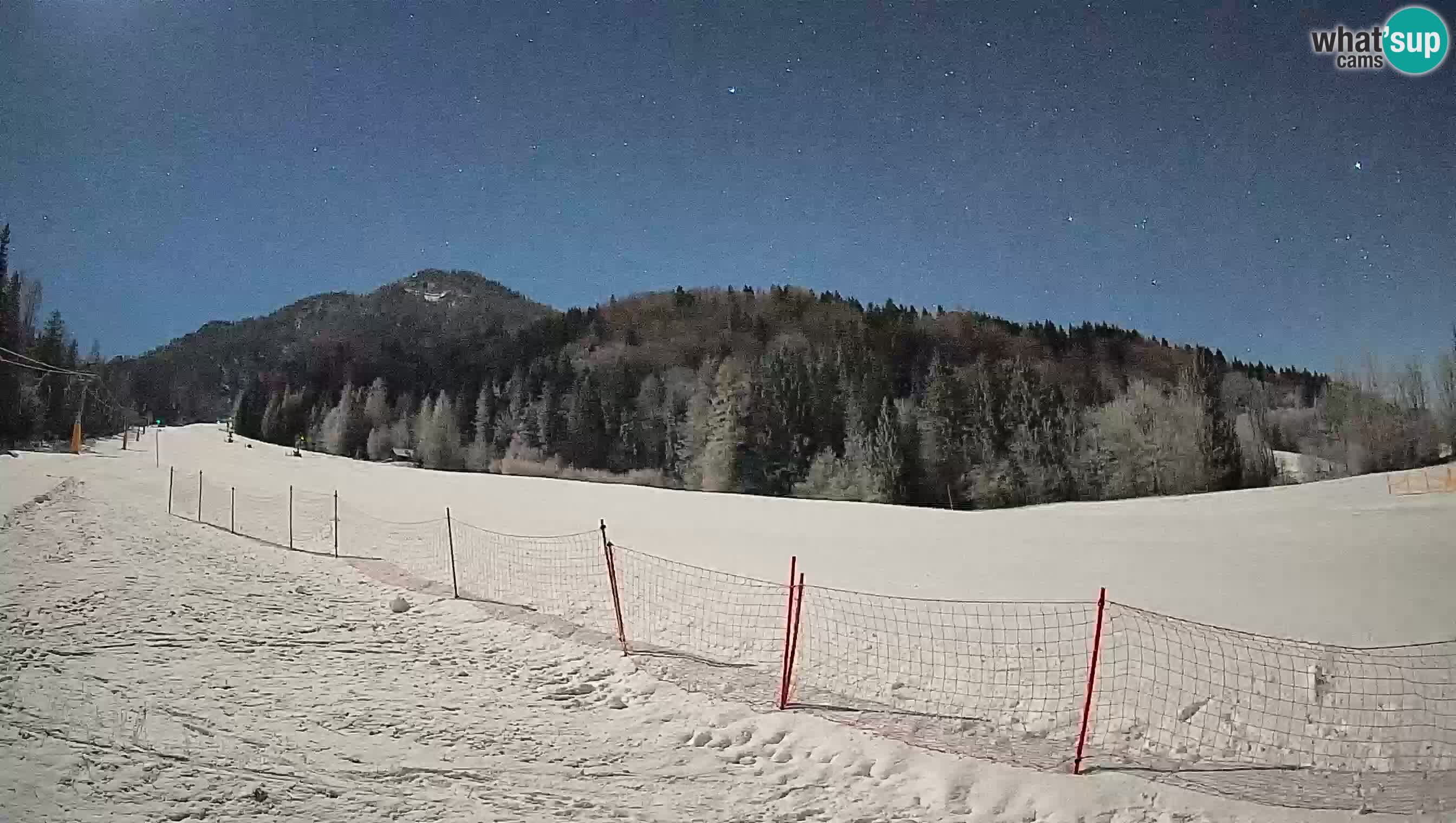 Ski Kranjska Gora | Brsnina