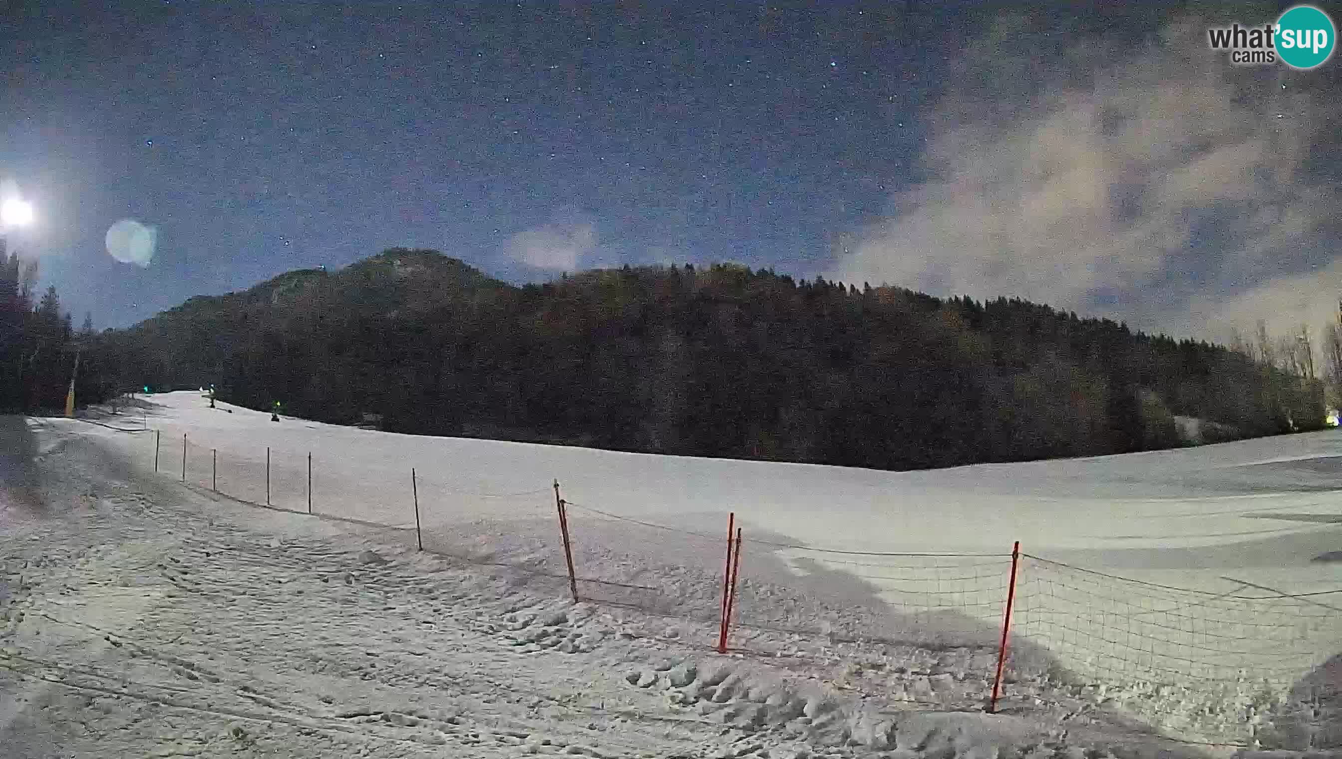 Kranjska Gora Station de ski | Brsnina