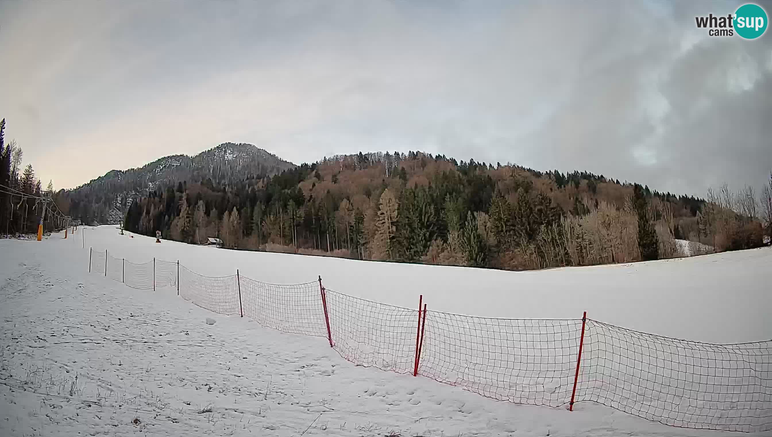 Esquí Kranjska Gora | Brsnina