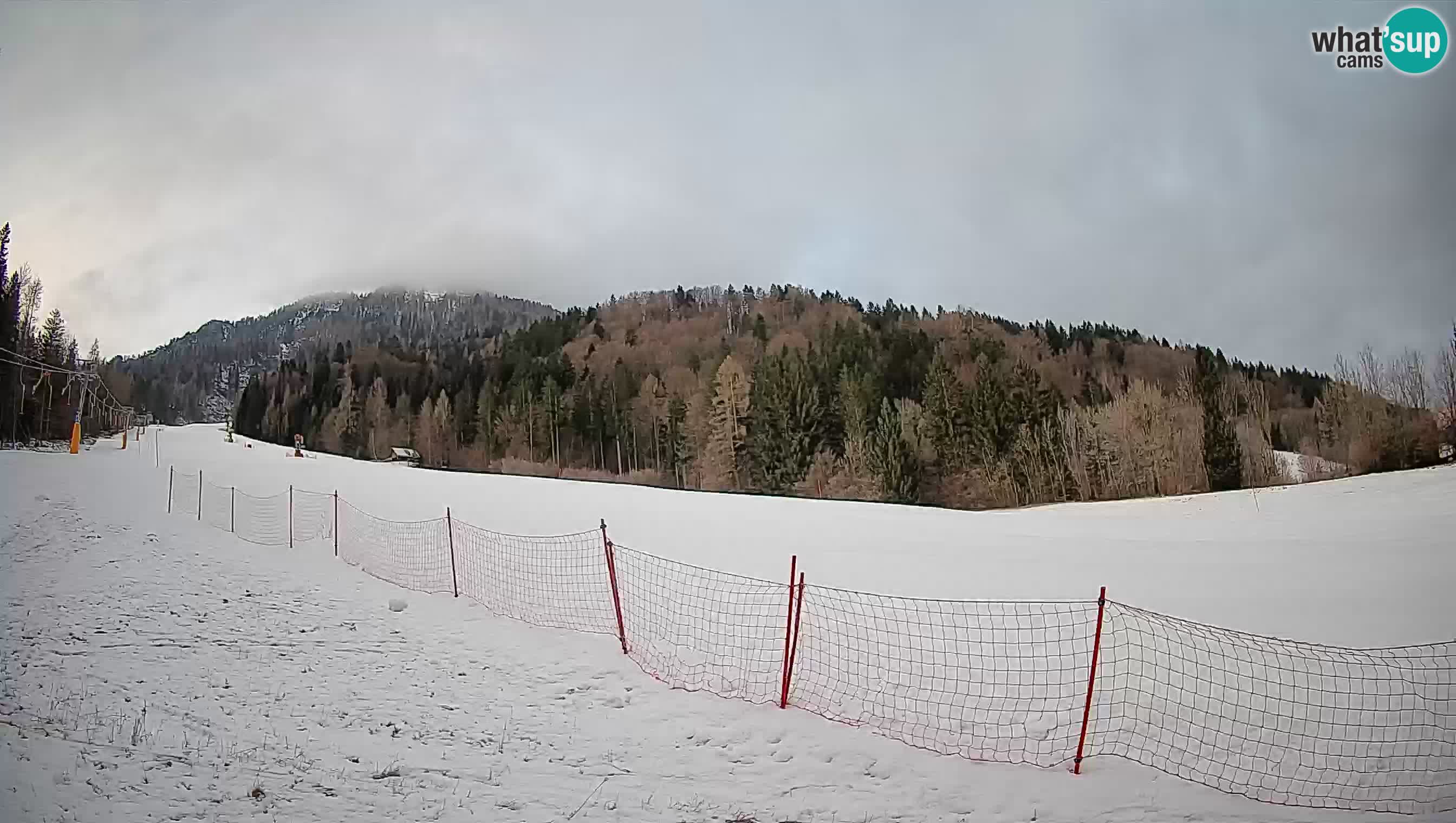 Kranjska Gora Station de ski | Brsnina