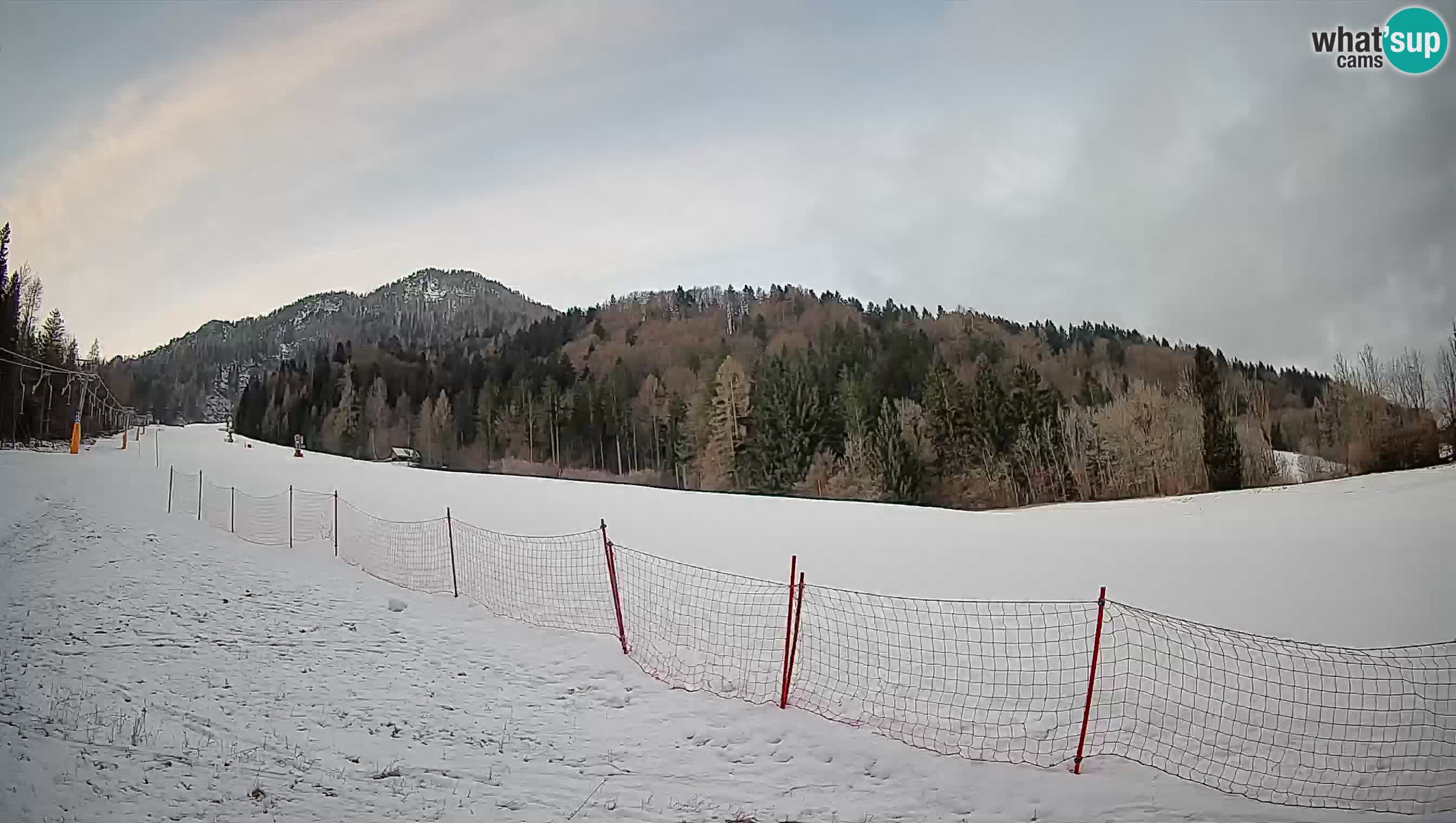 Esquí Kranjska Gora | Brsnina