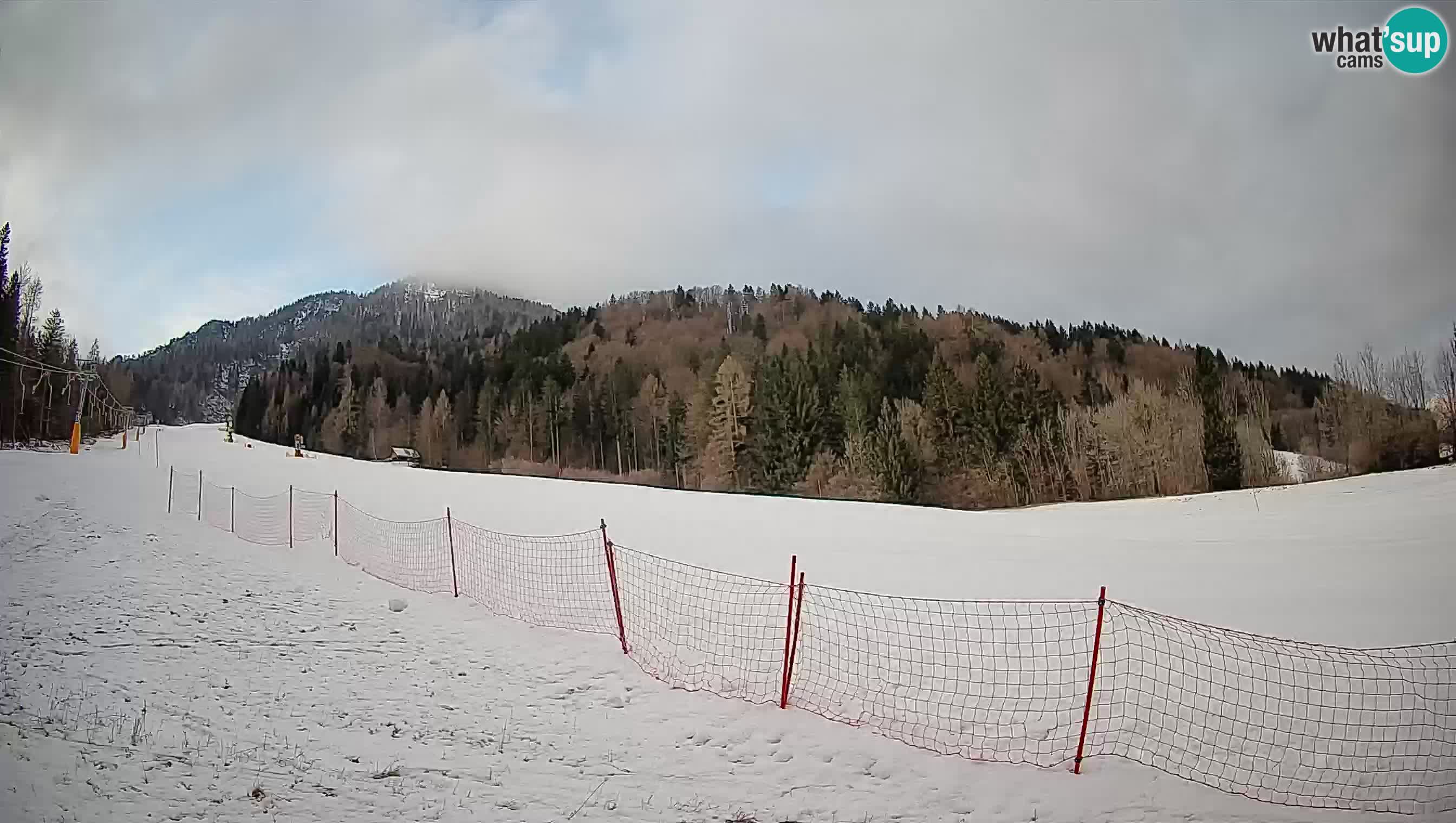 Kranjska Gora Station de ski | Brsnina