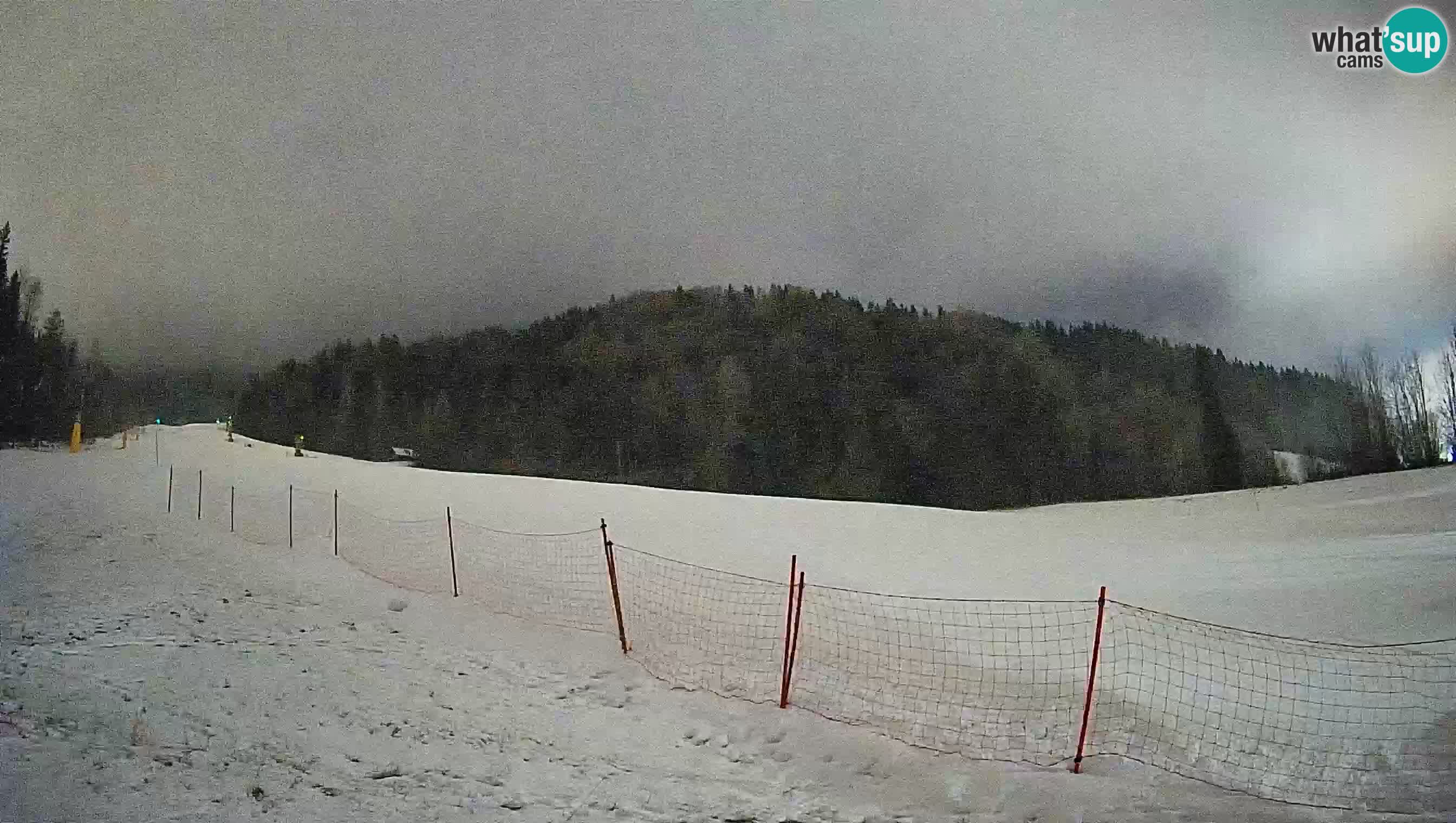 Kranjska Gora Station de ski | Brsnina