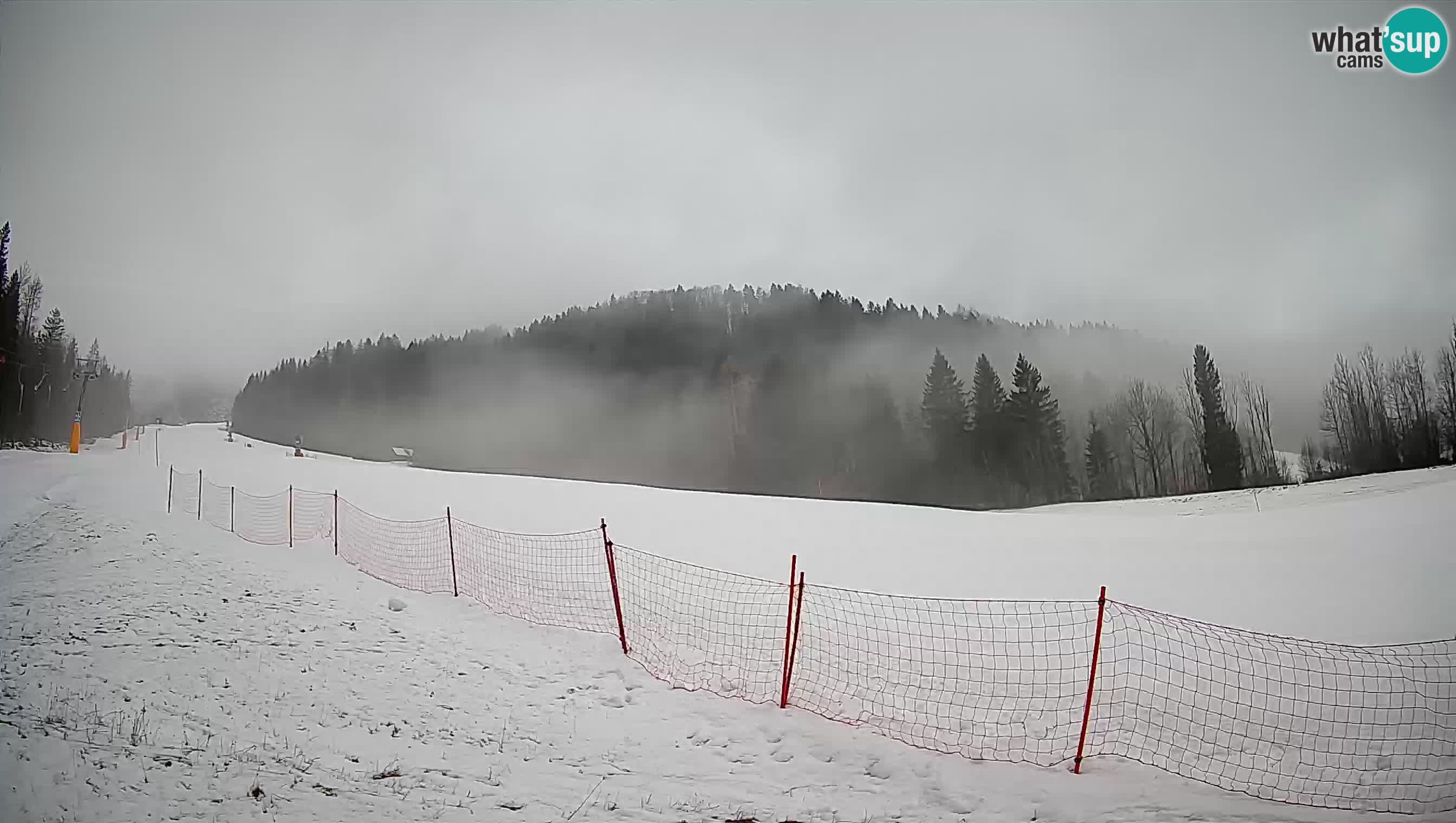 Esquí Kranjska Gora | Brsnina