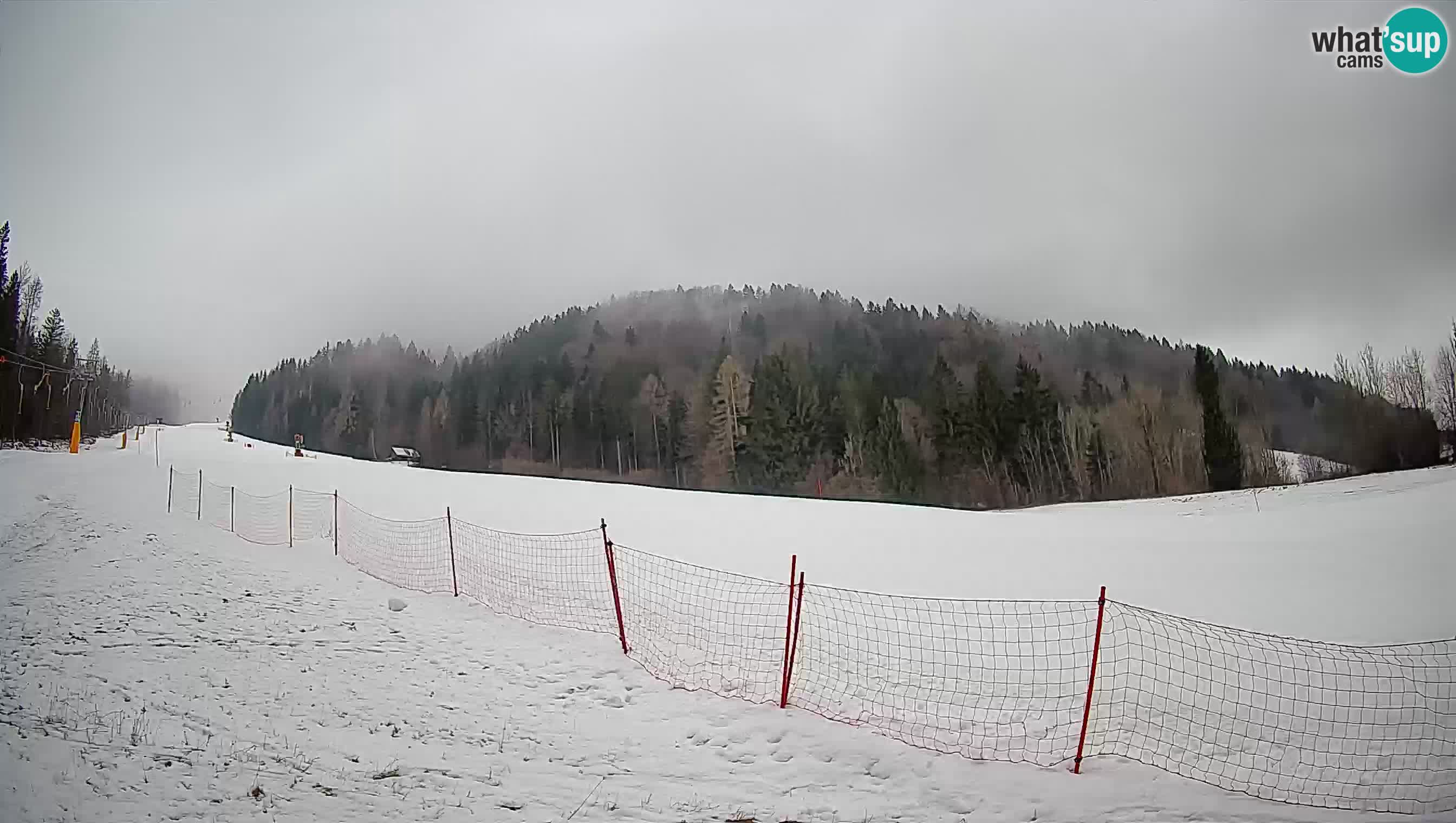 Kranjska Gora Station de ski | Brsnina