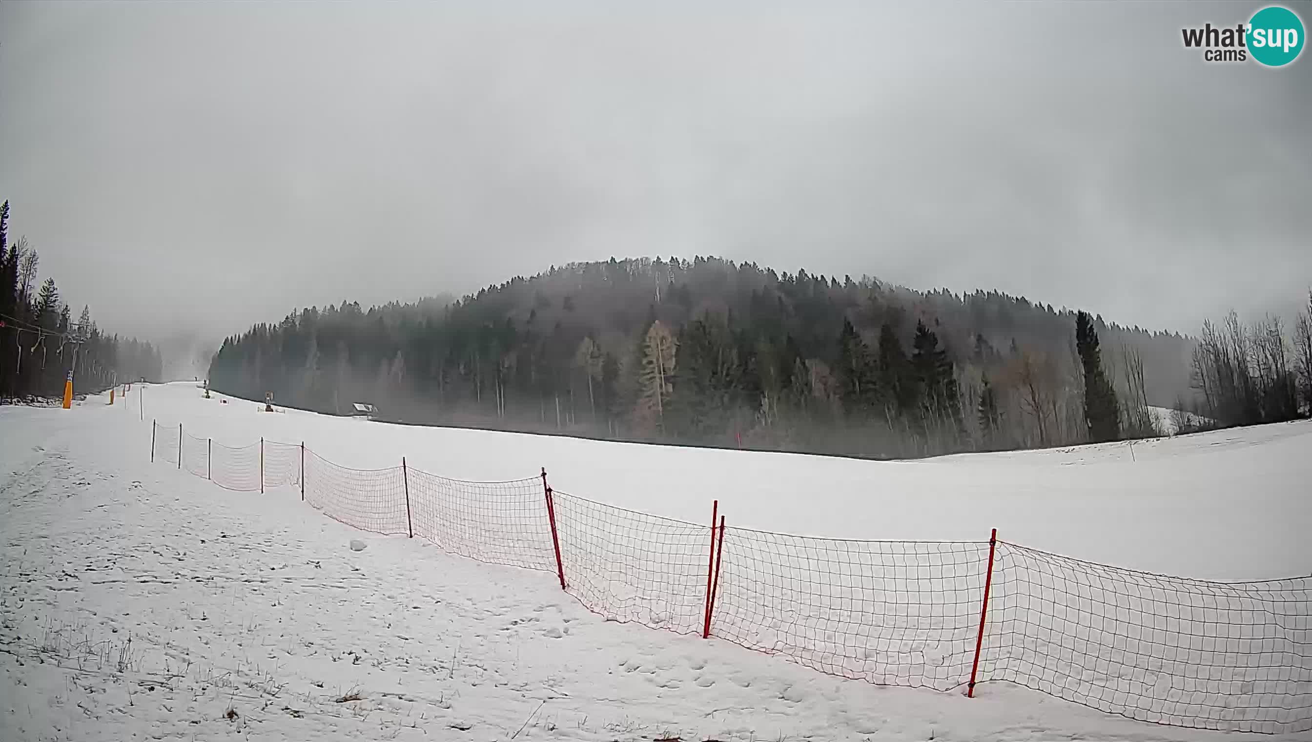 Kranjska Gora Station de ski | Brsnina