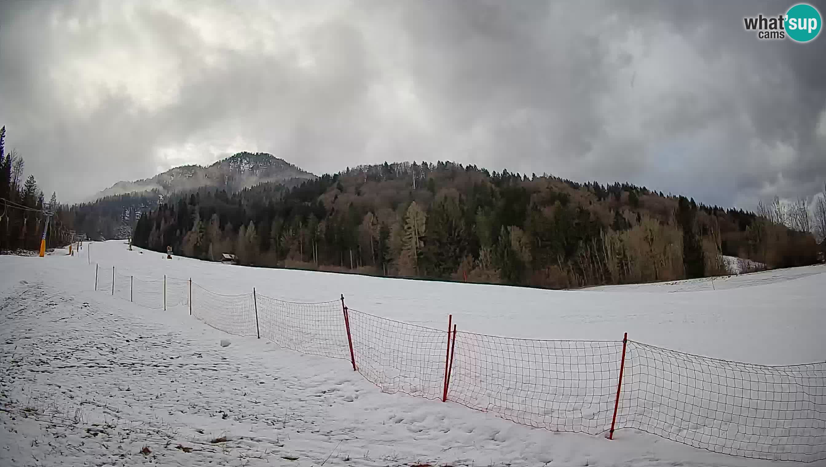 Esquí Kranjska Gora | Brsnina