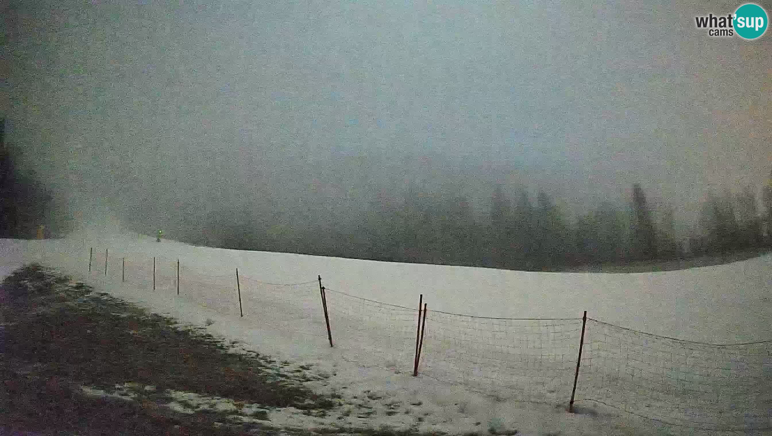 Kranjska Gora Station de ski | Brsnina