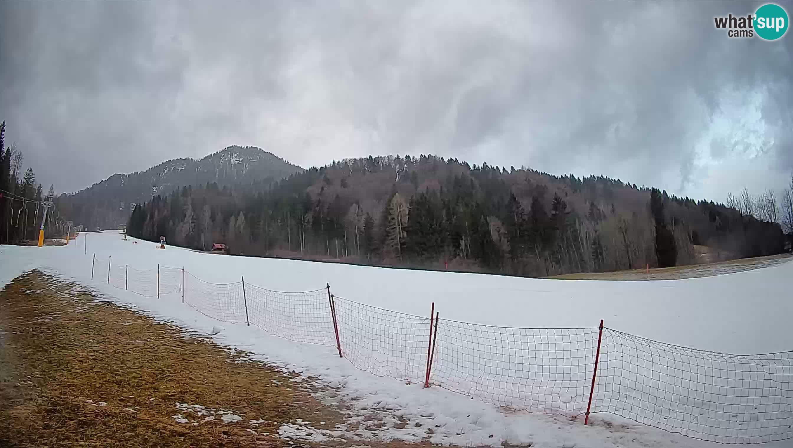 Ski Kranjska Gora | Brsnina