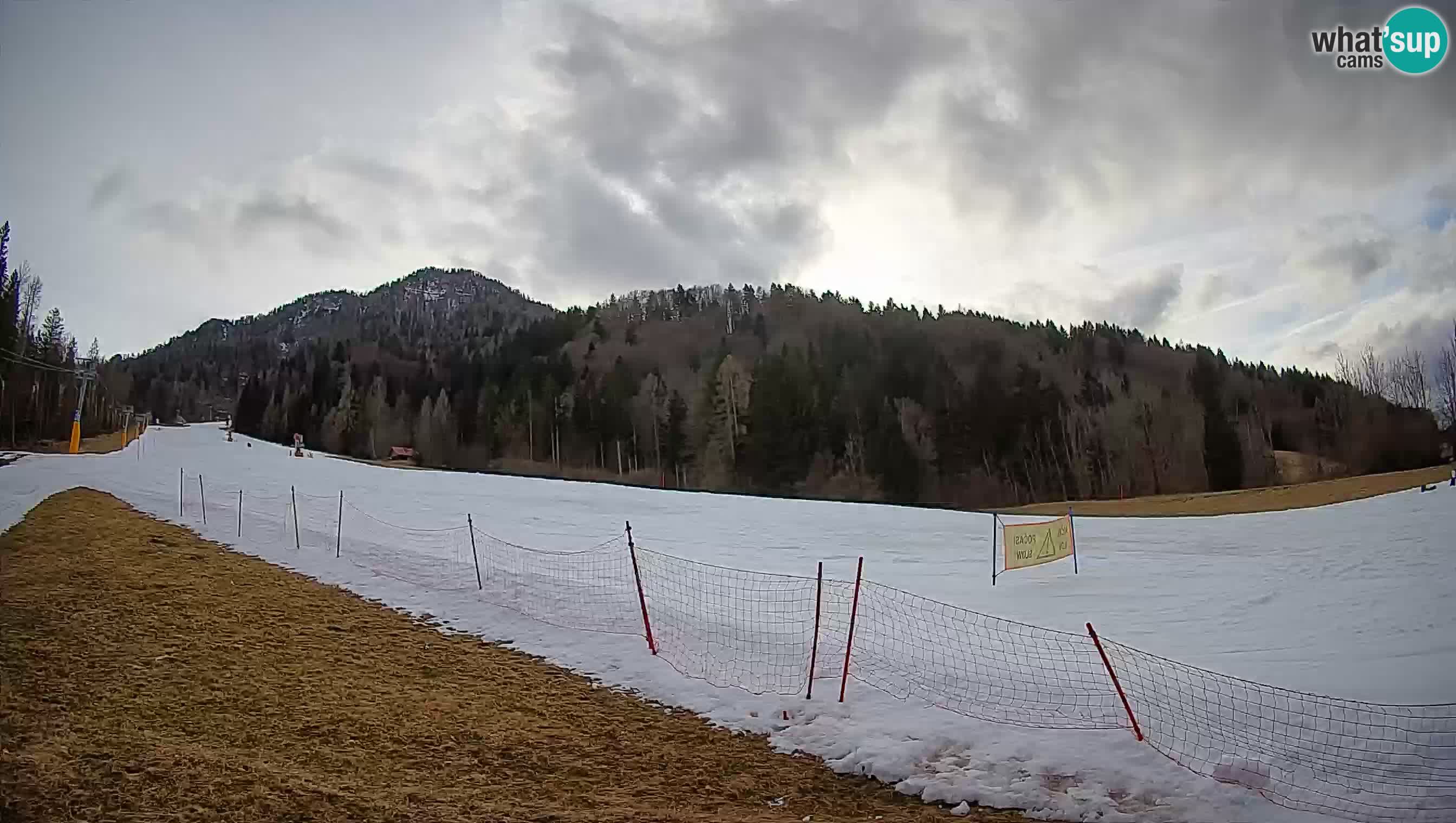 Ski Kranjska Gora | Brsnina