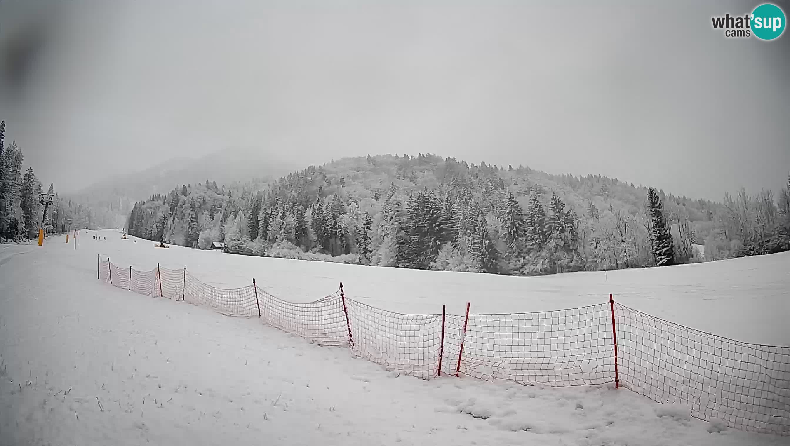 Kranjska Gora SKIJANJE | Brsnina