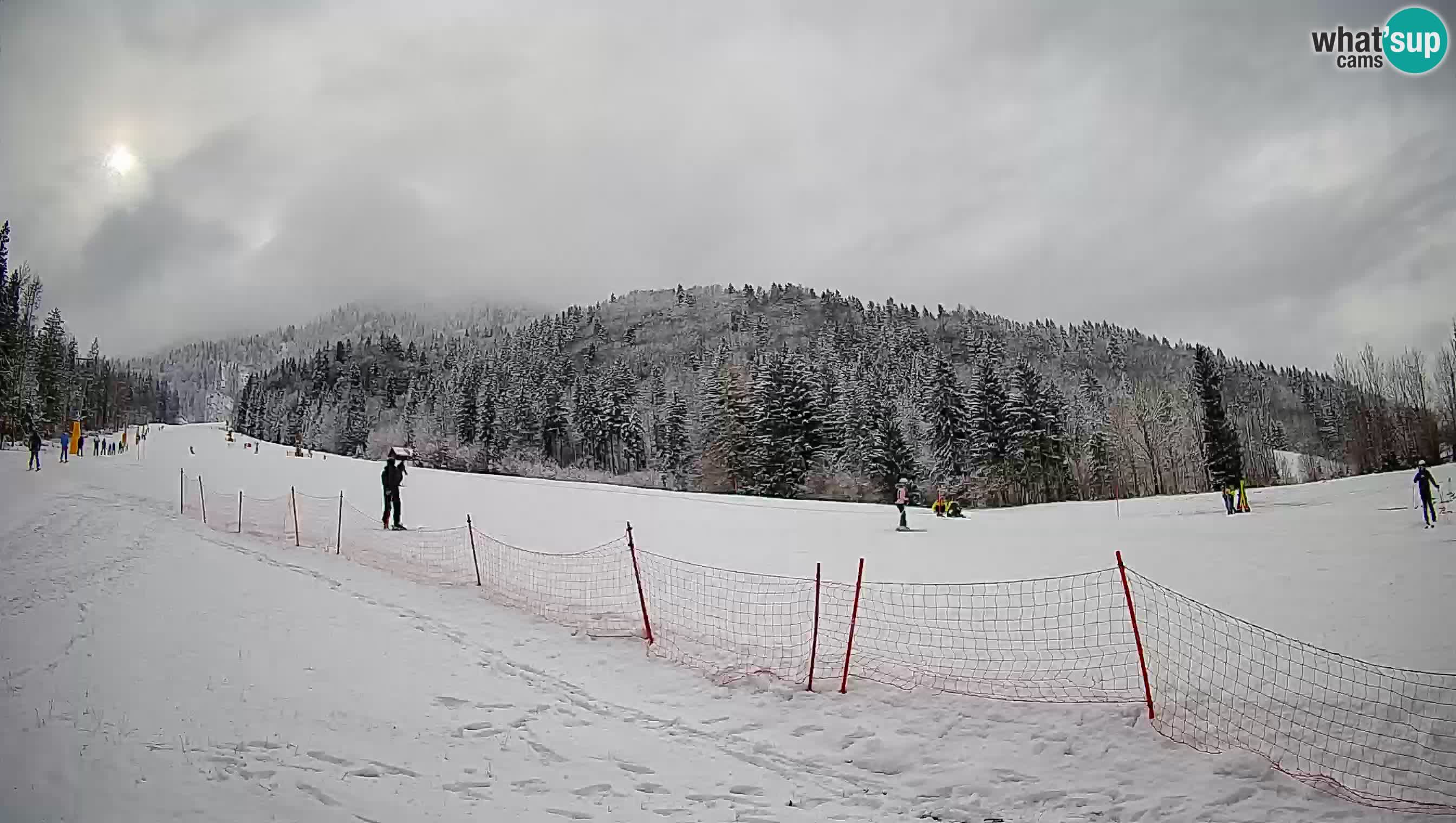 Kranjska Gora Station de ski | Brsnina