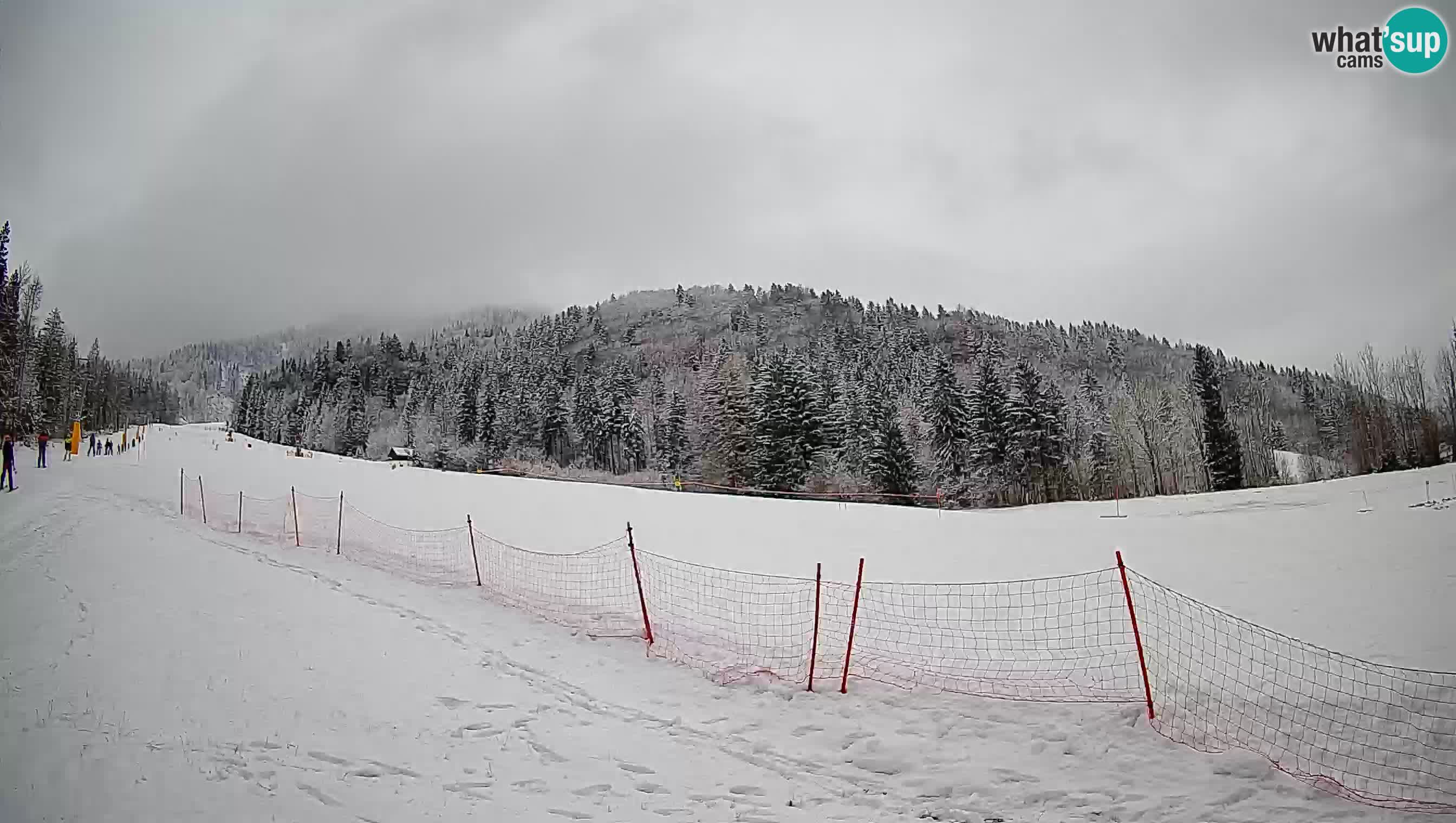 Kranjska Gora Station de ski | Brsnina